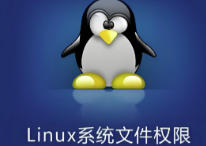 Linux 用户、密码、组、权限详解——Linux用户权限体系入门